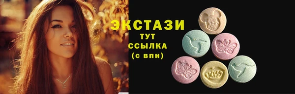 ECSTASY Каменка