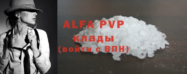 ECSTASY Каменка