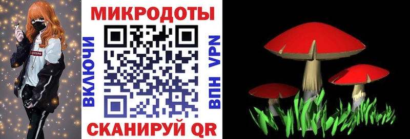 Псилоцибиновые грибы Psilocybine cubensis  Купить  Вытегра 